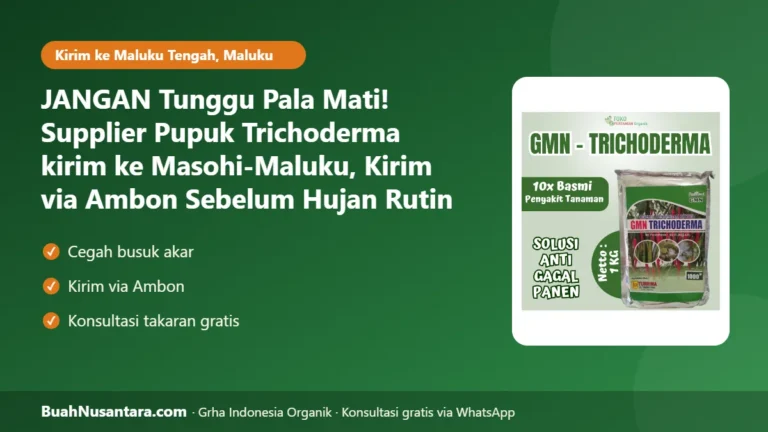 JANGAN Tunggu Pala Mati! Supplier Pupuk Trichoderma kirim ke Masohi-Maluku, Kirim via Ambon Sebelum Hujan Rutin