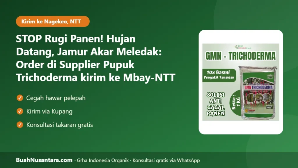 Supplier Pupuk Trichoderma kirim ke Mbay-NTT
