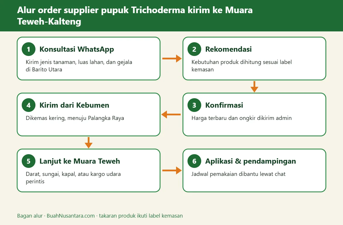 Bagan alur supplier pupuk Trichoderma kirim ke Muara Teweh-Kalteng