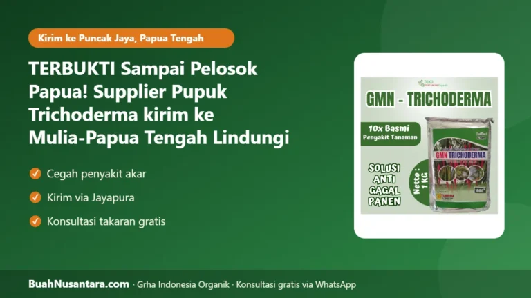 TERBUKTI Sampai Pelosok Papua! Supplier Pupuk Trichoderma kirim ke Mulia-Papua Tengah Lindungi Kopi dari Penyakit Akar