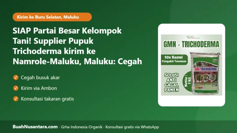 SIAP Partai Besar Kelompok Tani! Supplier Pupuk Trichoderma kirim ke Namrole-Maluku, Maluku: Cegah Busuk Akar Musim Hujan 2026/27