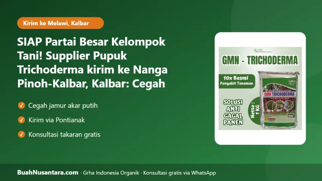Supplier Pupuk Trichoderma kirim ke Nanga Pinoh-Kalbar
