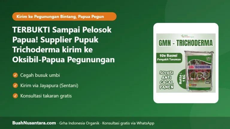 TERBUKTI Sampai Pelosok Papua! Supplier Pupuk Trichoderma kirim ke Oksibil-Papua Pegunungan Lindungi Ubi Kayu dan Ubi Jalar dari Busuk Umbi