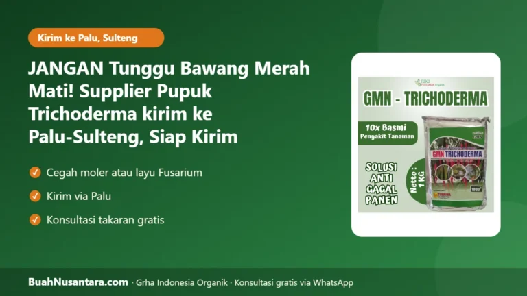 JANGAN Tunggu Bawang Merah Mati! Supplier Pupuk Trichoderma kirim ke Palu-Sulteng, Siap Kirim Sebelum Hujan Rutin