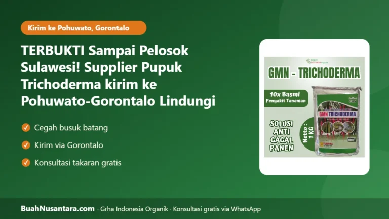 TERBUKTI Sampai Pelosok Sulawesi! Supplier Pupuk Trichoderma kirim ke Pohuwato-Gorontalo Lindungi Jagung dari Busuk Batang