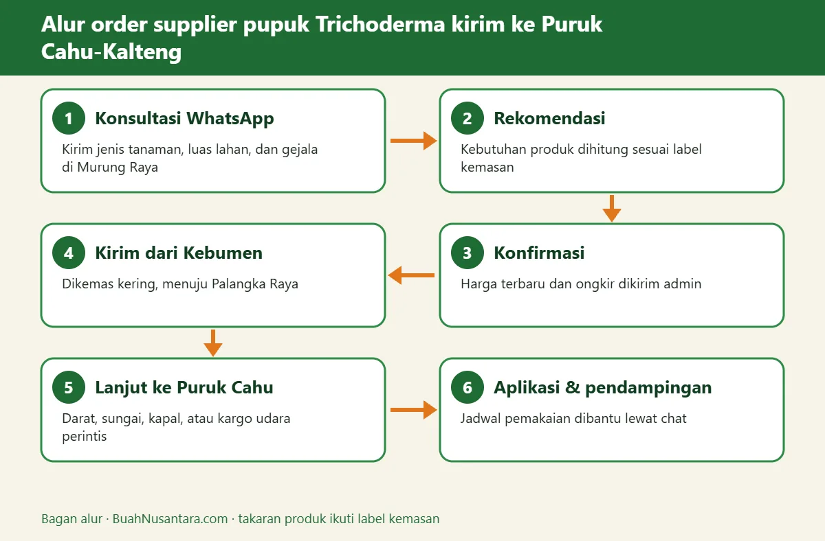 Bagan alur supplier pupuk Trichoderma kirim ke Puruk Cahu-Kalteng