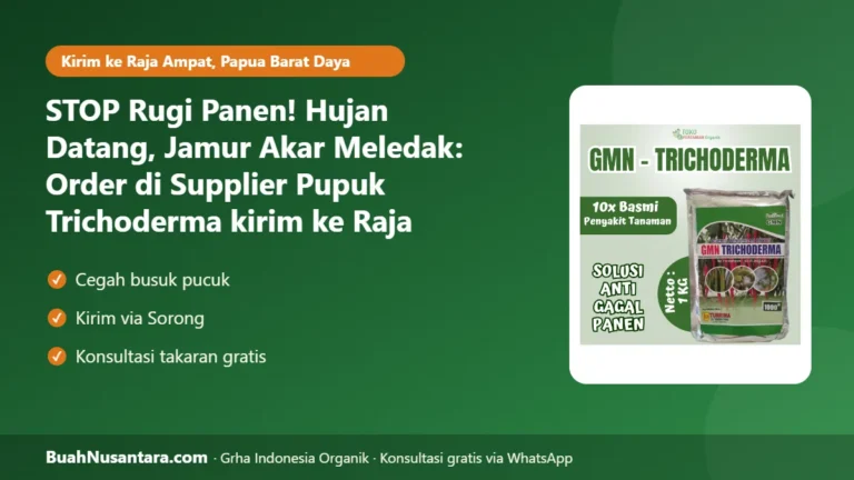 STOP Rugi Panen! Hujan Datang, Jamur Akar Meledak: Order di Supplier Pupuk Trichoderma kirim ke Raja Ampat-Papua Barat Daya
