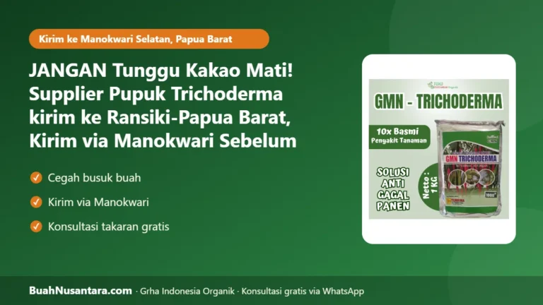 JANGAN Tunggu Kakao Mati! Supplier Pupuk Trichoderma kirim ke Ransiki-Papua Barat, Kirim via Manokwari Sebelum Hujan Rutin