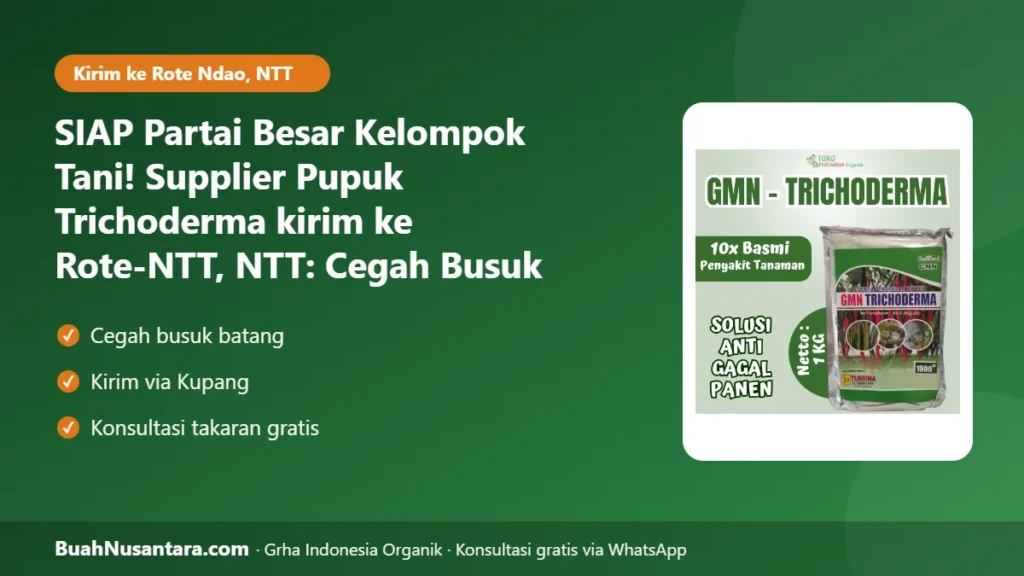 Supplier Pupuk Trichoderma kirim ke Rote-NTT