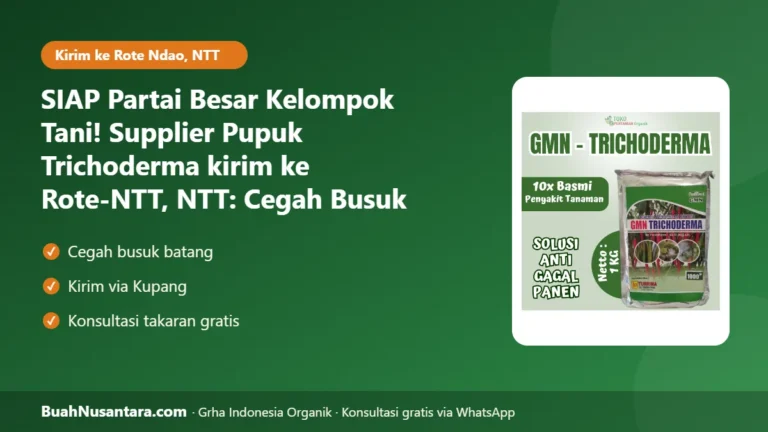 SIAP Partai Besar Kelompok Tani! Supplier Pupuk Trichoderma kirim ke Rote-NTT, NTT: Cegah Busuk Akar Musim Hujan 2026/27