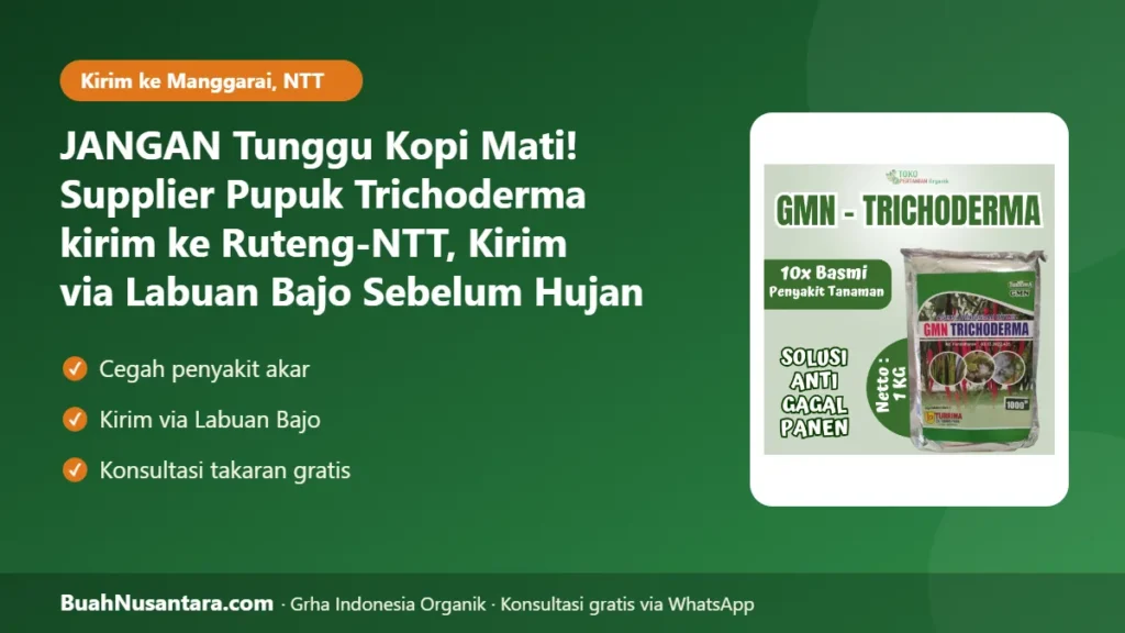 Supplier Pupuk Trichoderma kirim ke Ruteng-NTT