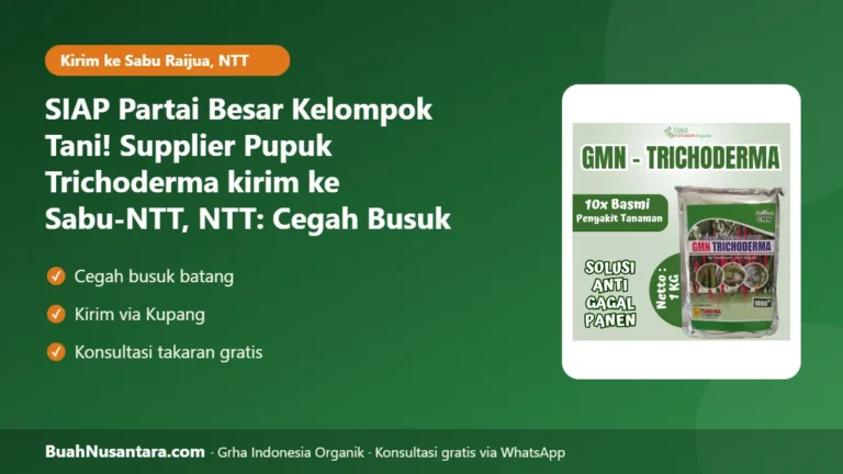 SIAP Partai Besar Kelompok Tani! Supplier Pupuk Trichoderma kirim ke Sabu-NTT, NTT: Cegah Busuk Akar Musim Hujan 2026/27