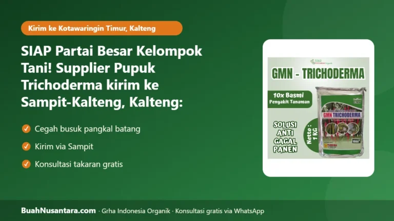 SIAP Partai Besar Kelompok Tani! Supplier Pupuk Trichoderma kirim ke Sampit-Kalteng, Kalteng: Cegah Busuk Akar Musim Hujan 2026/27