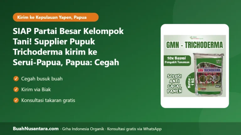 SIAP Partai Besar Kelompok Tani! Supplier Pupuk Trichoderma kirim ke Serui-Papua, Papua: Cegah Busuk Akar Musim Hujan 2026/27