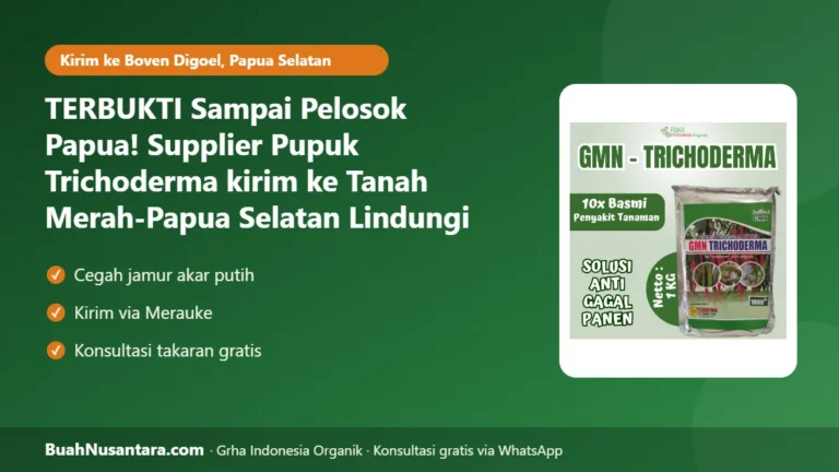 TERBUKTI Sampai Pelosok Papua! Supplier Pupuk Trichoderma kirim ke Tanah Merah-Papua Selatan Lindungi Karet dari Jamur Akar Putih