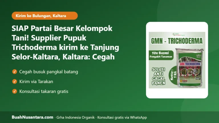 SIAP Partai Besar Kelompok Tani! Supplier Pupuk Trichoderma kirim ke Tanjung Selor-Kaltara, Kaltara: Cegah Busuk Akar Musim Hujan 2026/27