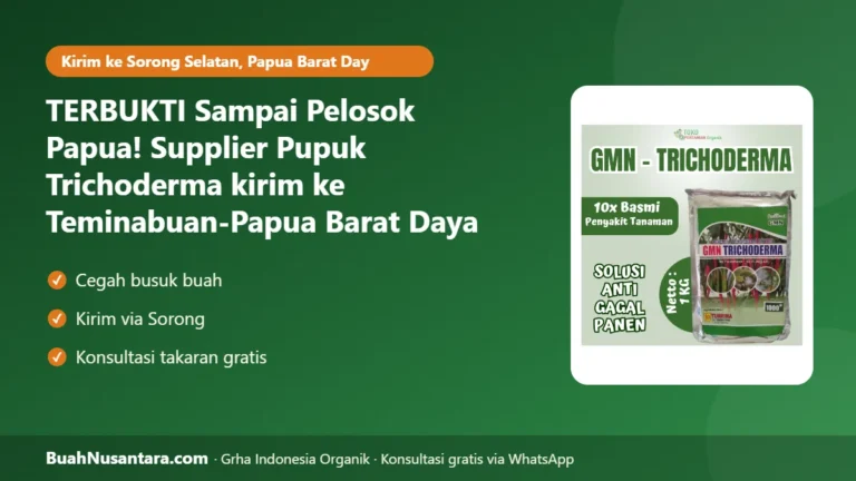 TERBUKTI Sampai Pelosok Papua! Supplier Pupuk Trichoderma kirim ke Teminabuan-Papua Barat Daya Lindungi Kakao dari Busuk Buah