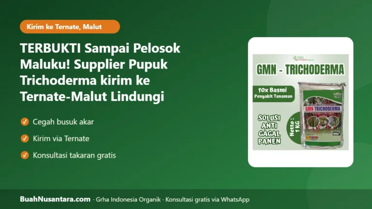 TERBUKTI Sampai Pelosok Maluku! Supplier Pupuk Trichoderma kirim ke Ternate-Malut Lindungi Cengkeh dari Busuk Akar