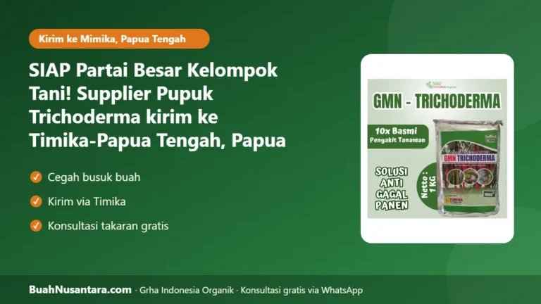 SIAP Partai Besar Kelompok Tani! Supplier Pupuk Trichoderma kirim ke Timika-Papua Tengah, Papua Tengah: Cegah Busuk Akar Musim Hujan 2026/27