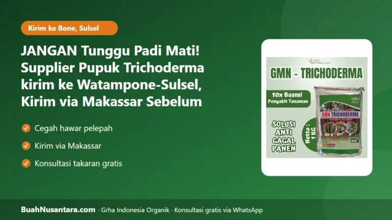 JANGAN Tunggu Padi Mati! Supplier Pupuk Trichoderma kirim ke Watampone-Sulsel, Kirim via Makassar Sebelum Hujan Rutin