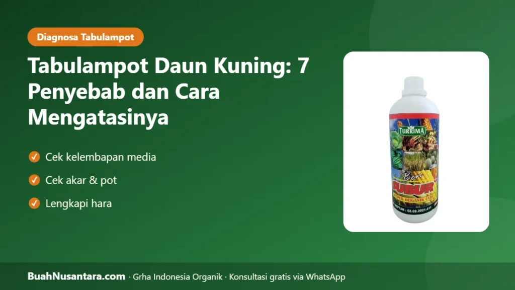 Tabulampot daun kuning