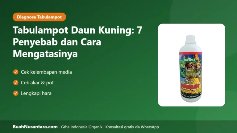 DAUN Tabulampot Menguning? 7 Penyebab dan Cara Mengatasinya dengan Tepat