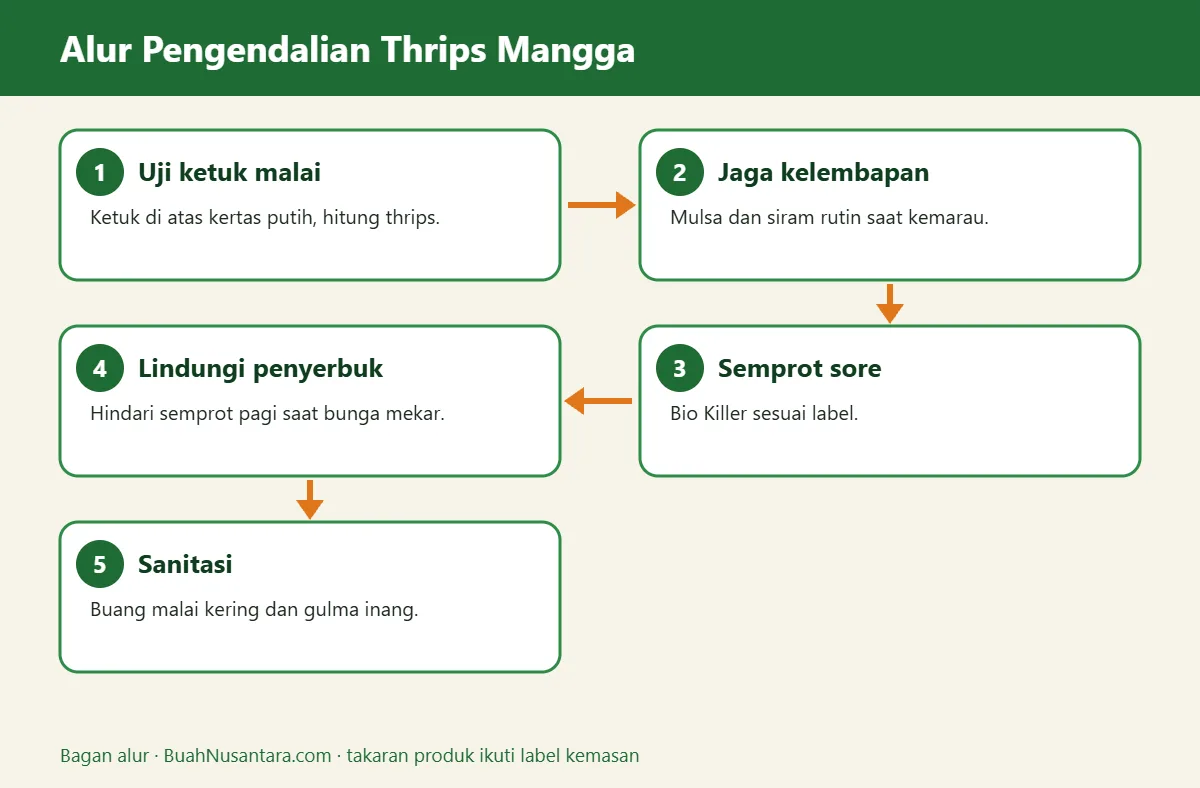 Bagan alur thrips mangga
