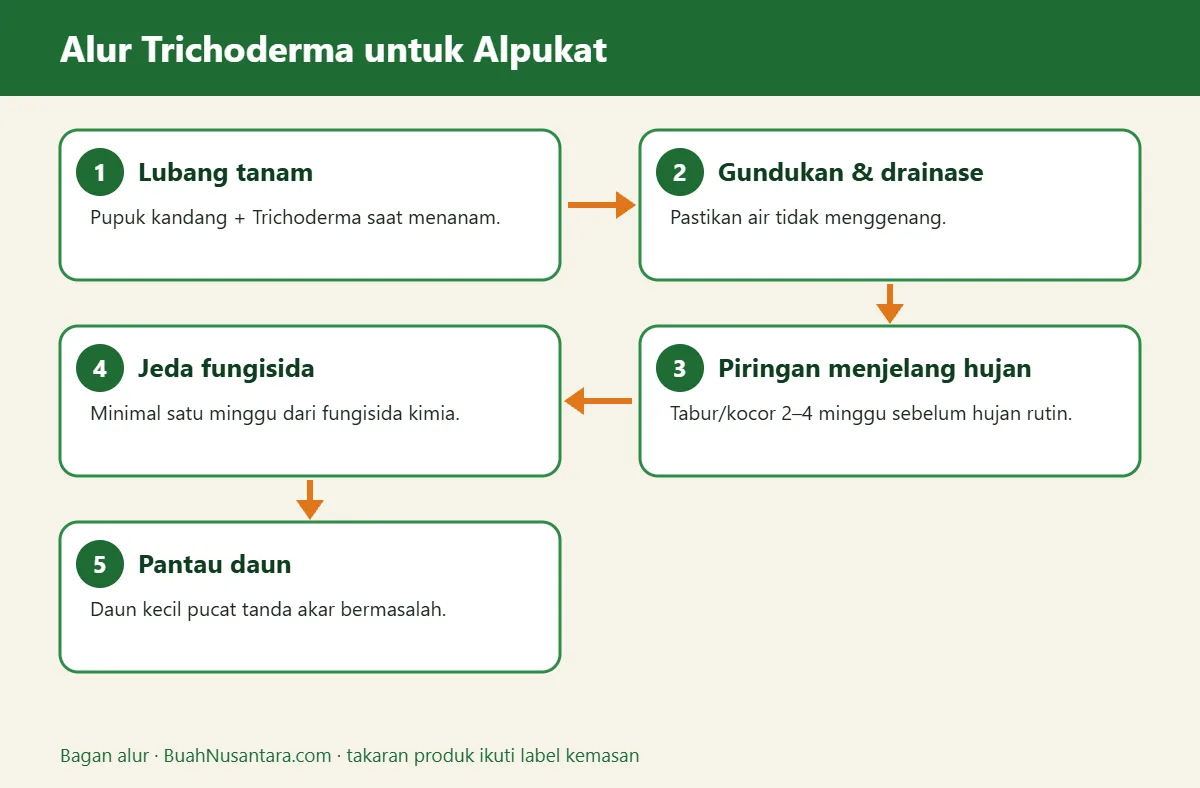 Bagan alur trichoderma untuk alpukat