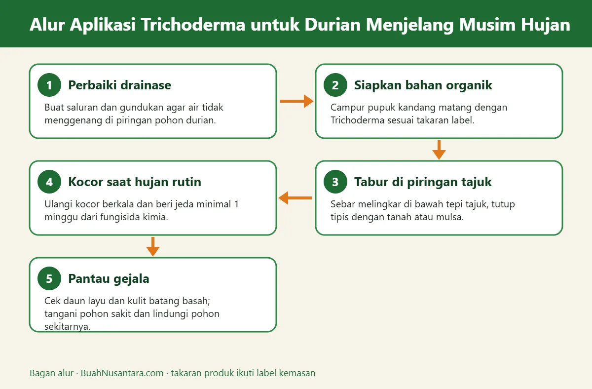 Bagan alur trichoderma untuk durian
