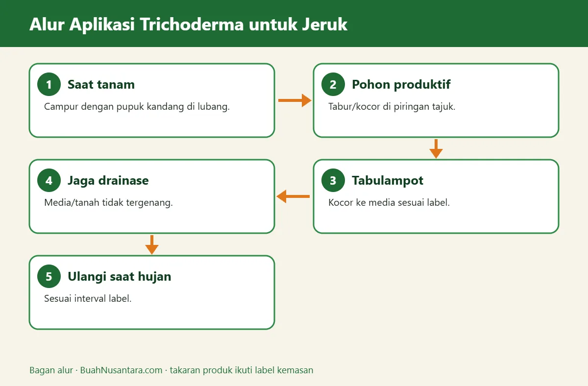 Bagan alur trichoderma untuk jeruk