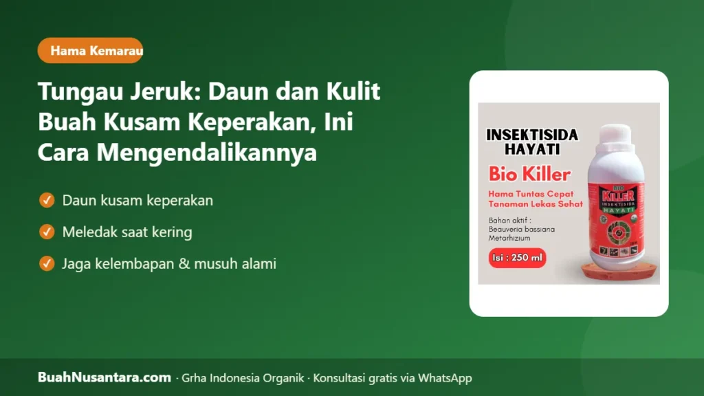 Tungau jeruk