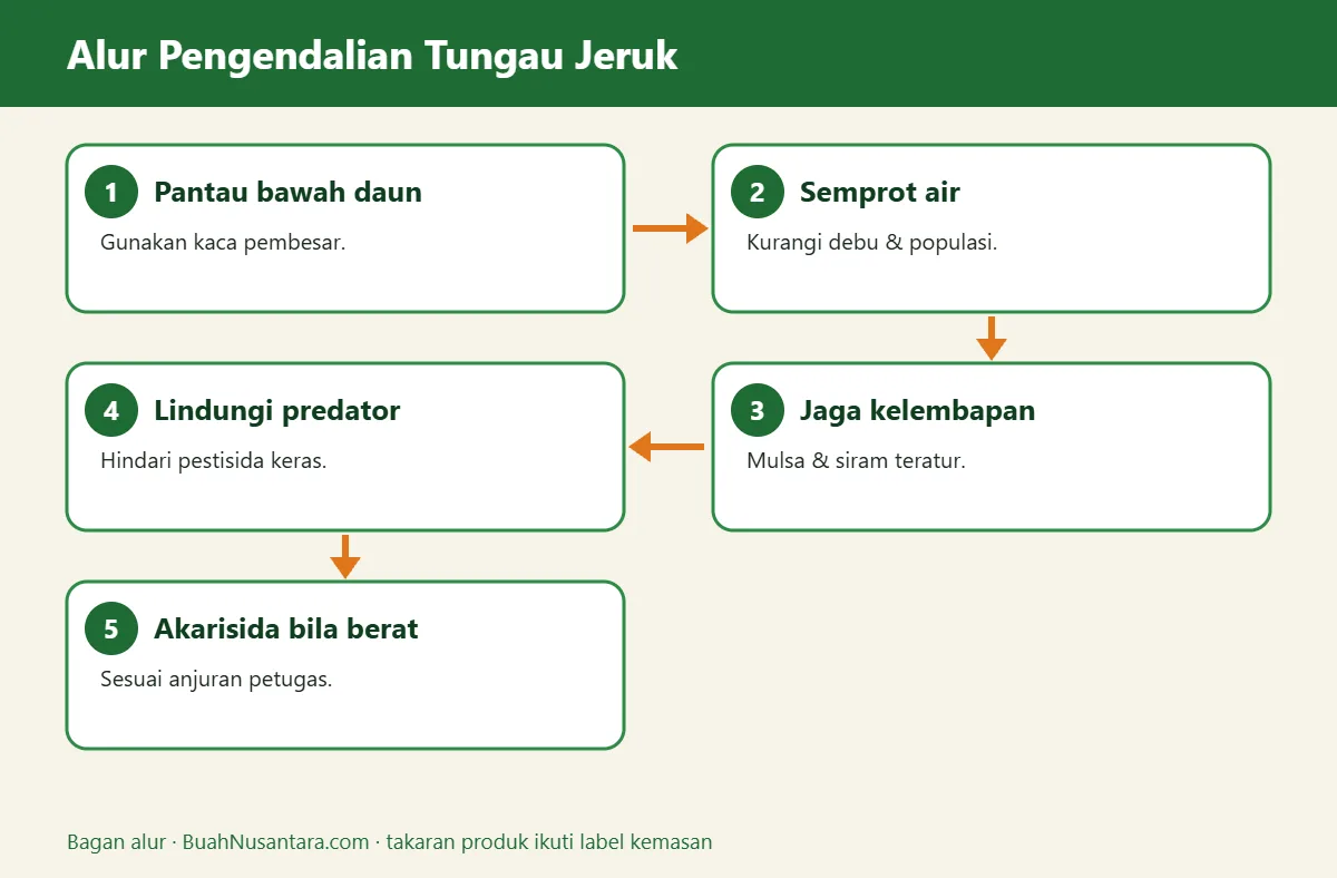Bagan alur tungau jeruk