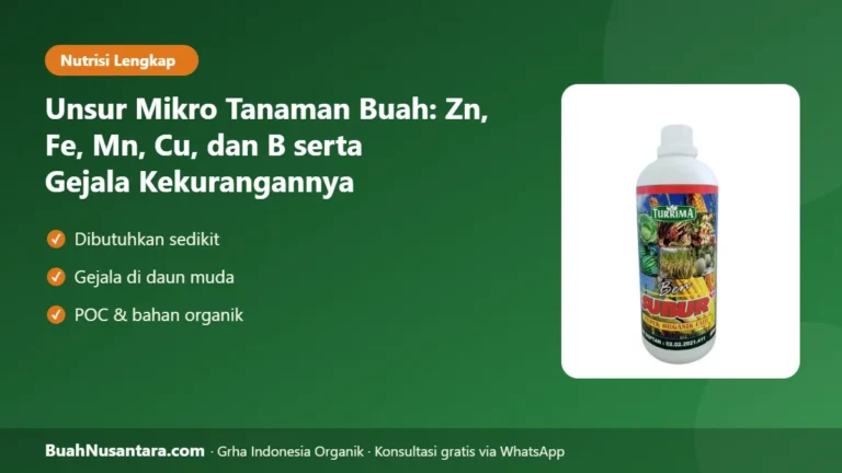 DAUN Kuning Tulang Hijau? Unsur Mikro Tanaman Buah: Zn, Fe, Mn, Cu, B dan Gejala Kekurangannya