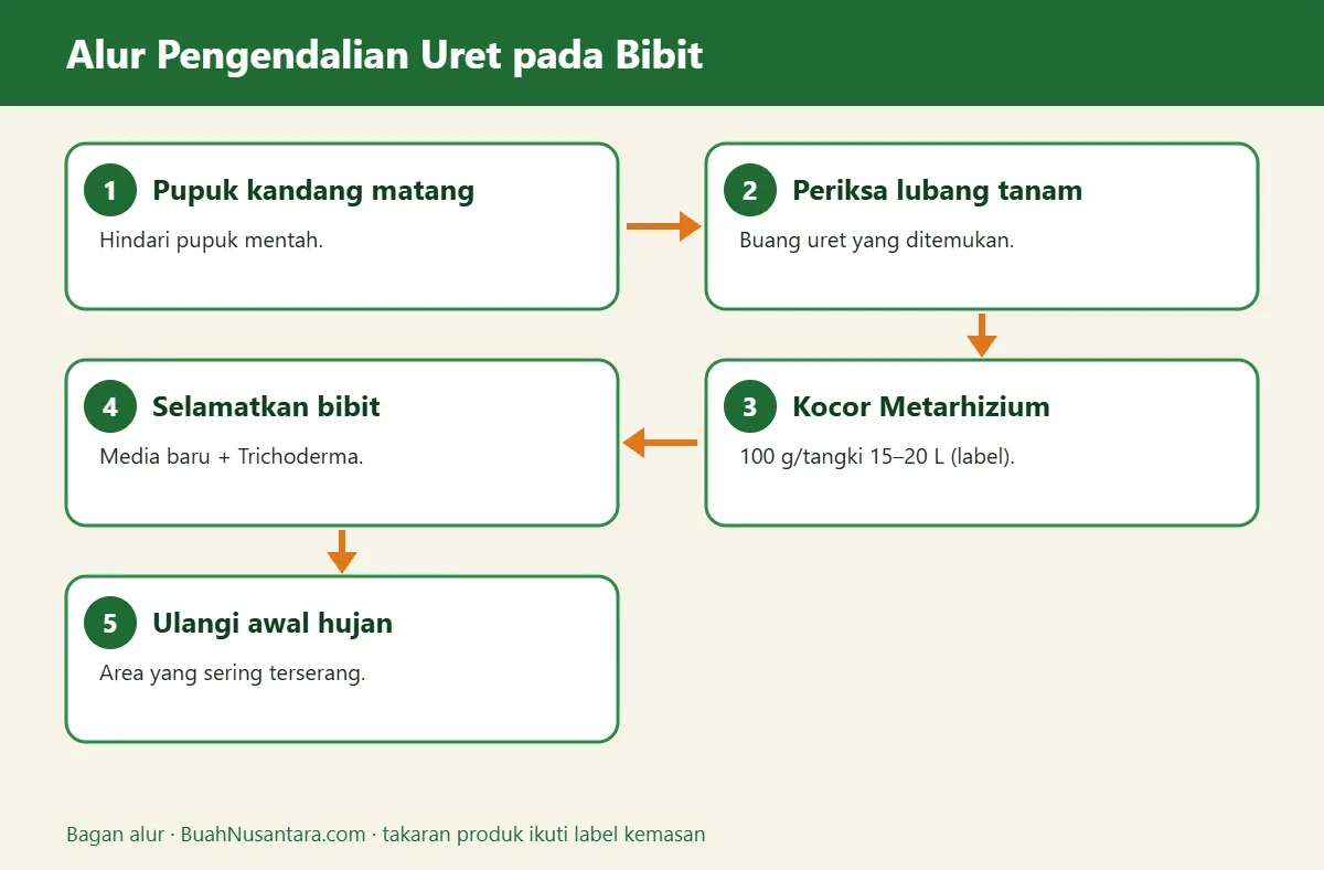 Bagan alur uret pada bibit