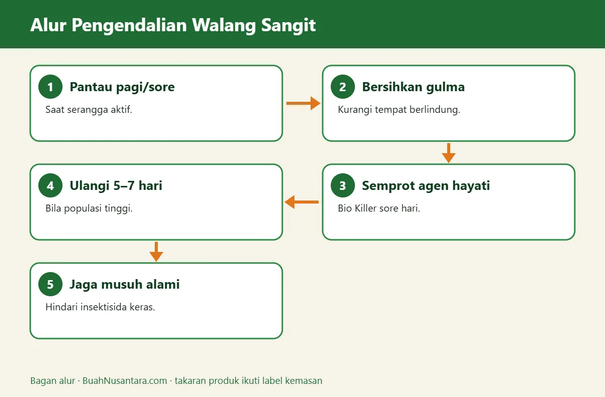 Bagan alur walang sangit