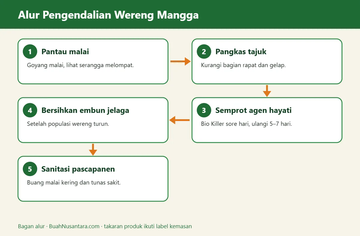 Bagan alur wereng mangga